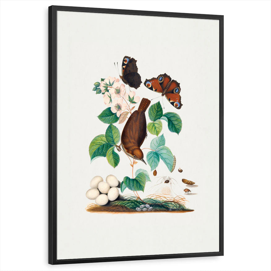 framed-print-black-standard