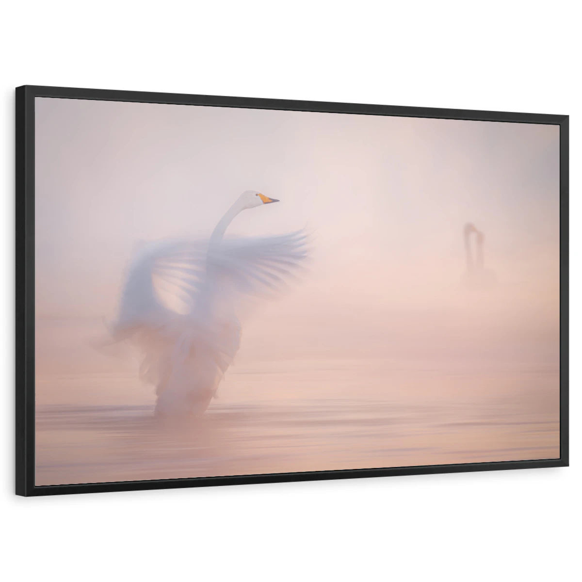 framed-print-black-standard