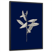 framed-print-black-standard