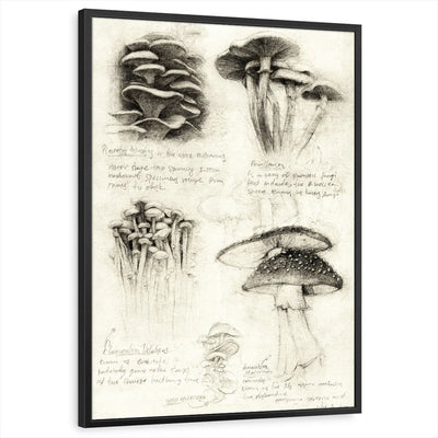 framed-print-black-standard