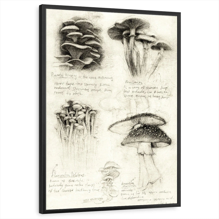 framed-print-black-standard