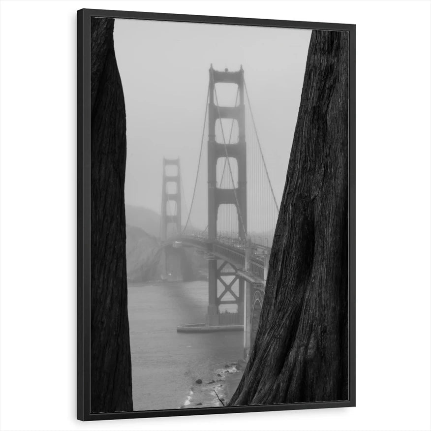 framed-print-black-standard