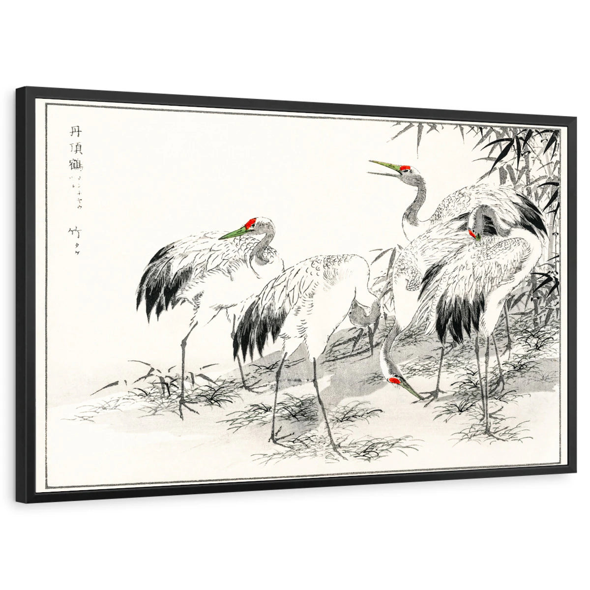 framed-print-black-standard