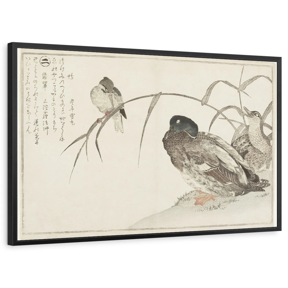 framed-print-black-standard