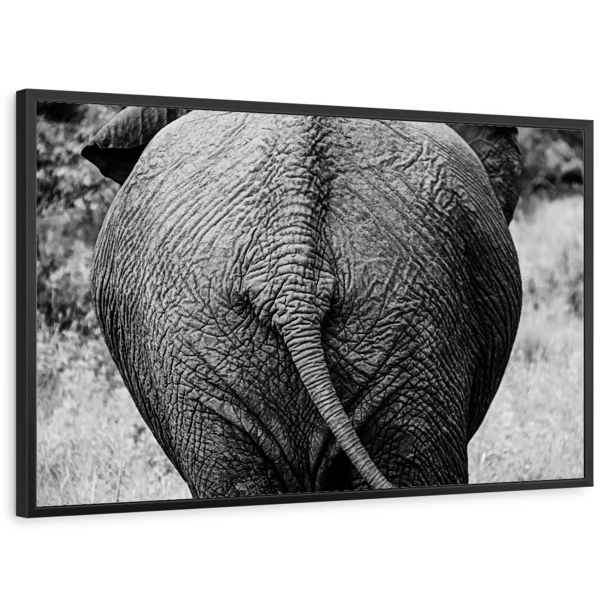 framed-print-black-standard