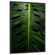 framed-print-black-standard