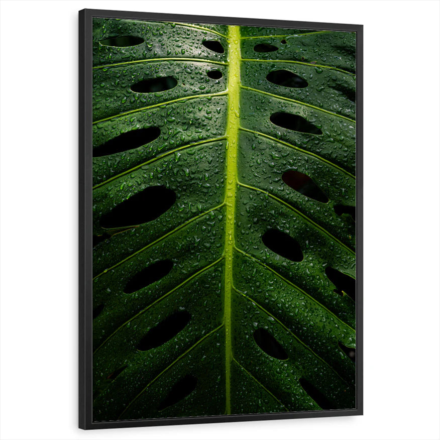 framed-print-black-standard
