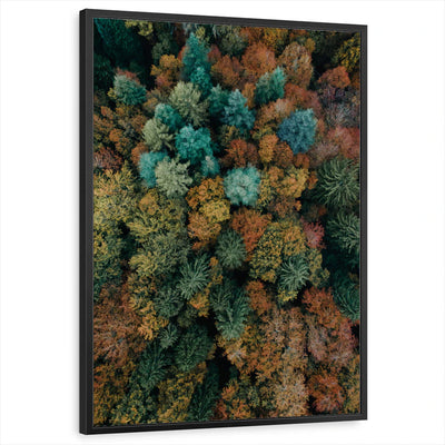 framed-print-black-standard