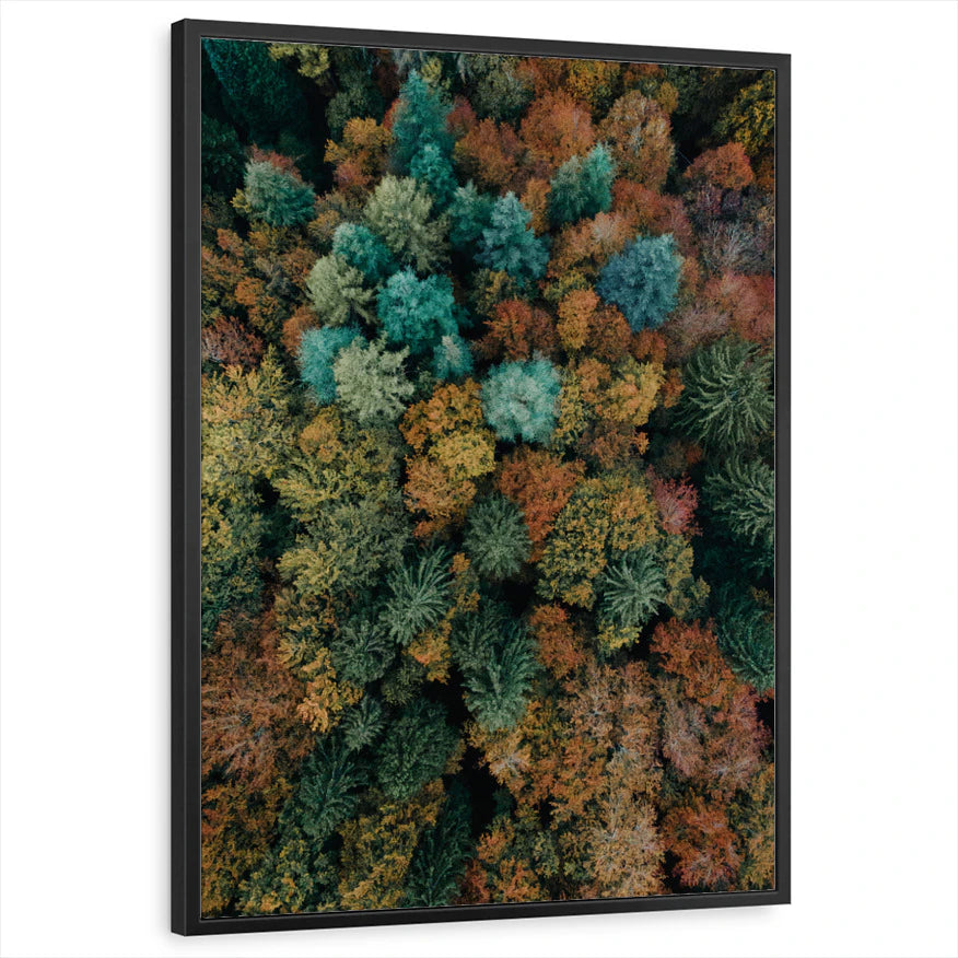 framed-print-black-standard