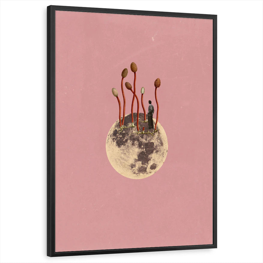 framed-print-black-standard
