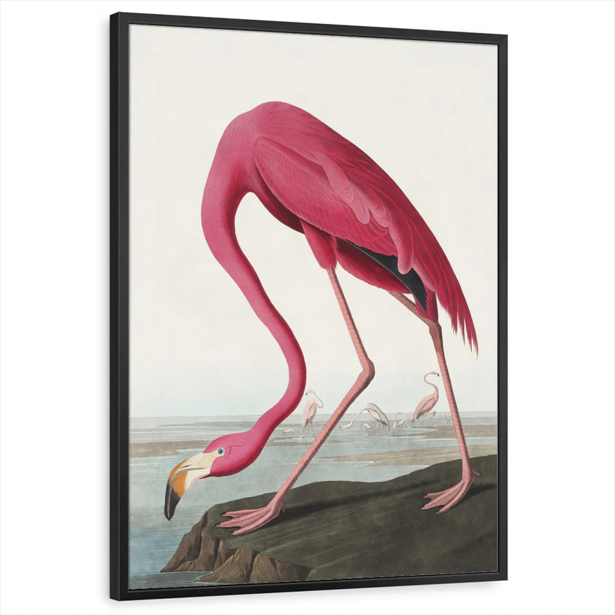 framed-print-black-standard