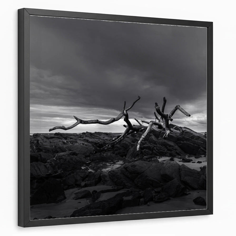framed-print-black-standard