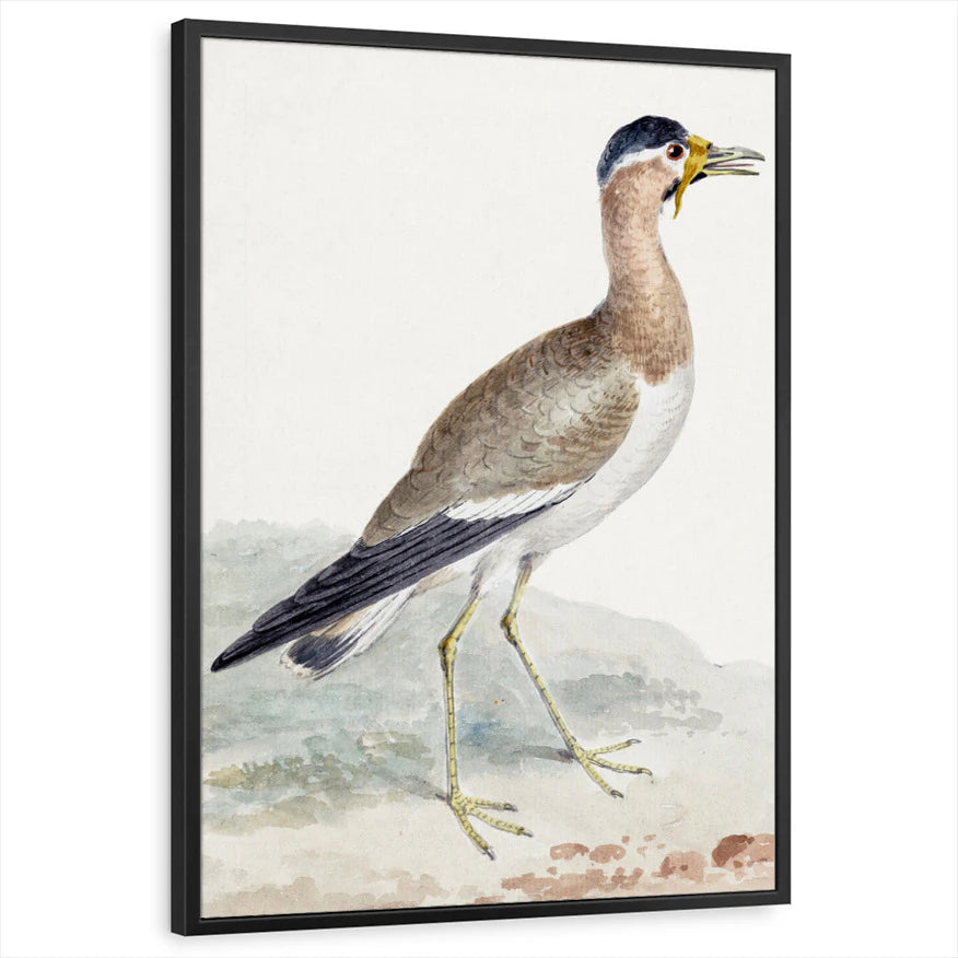 framed-print-black-standard