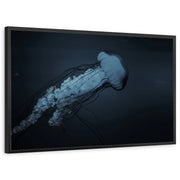 framed-print-black-standard