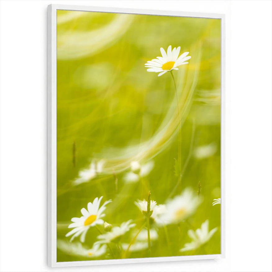 framed-print-white-standard