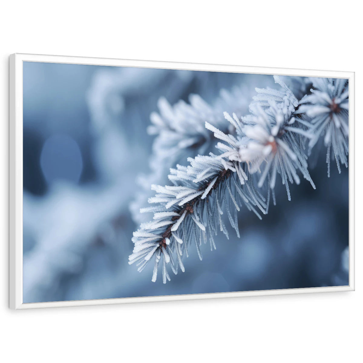 framed-print-white-standard