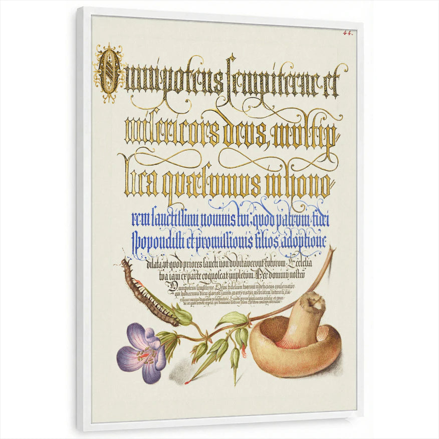 framed-print-white-standard