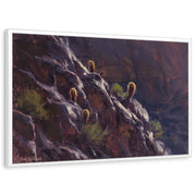 framed-print-white-standard