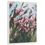 framed-print-white-standard