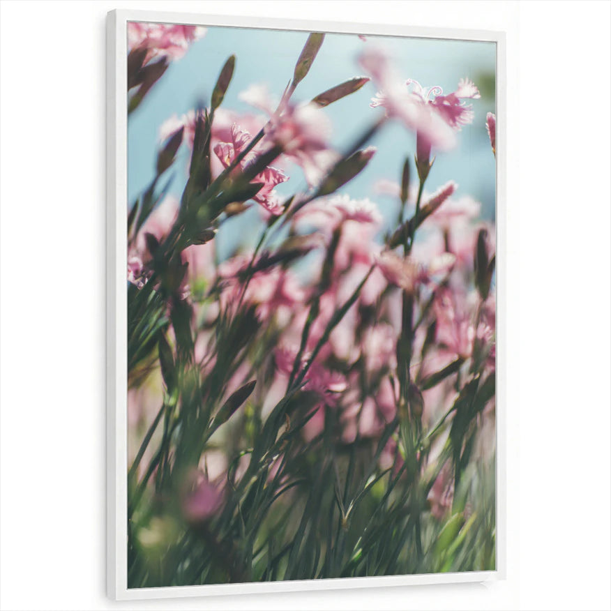 framed-print-white-standard