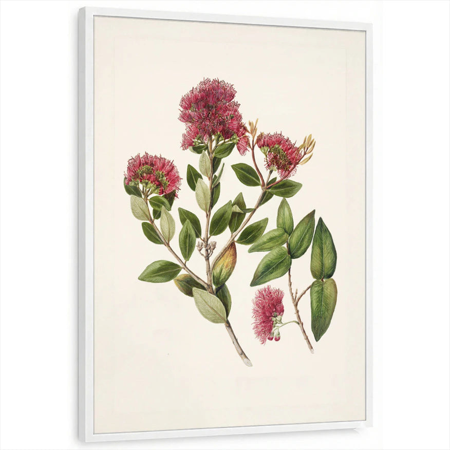 framed-print-white-standard