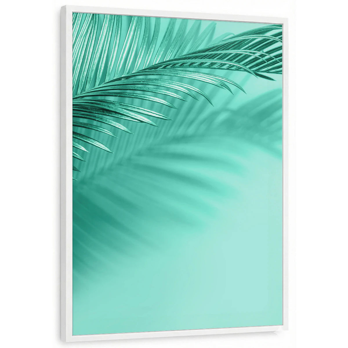 framed-print-white-standard