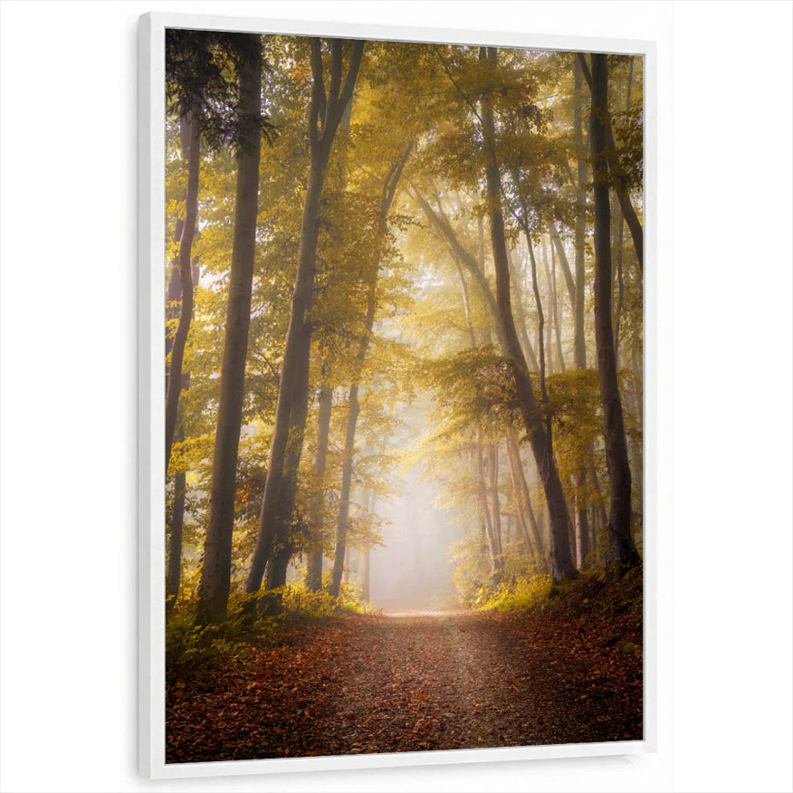 framed-print-white-standard