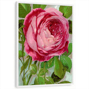framed-print-white-standard