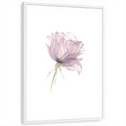 framed-print-white-standard