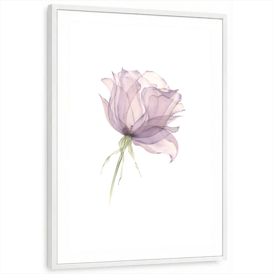 framed-print-white-standard
