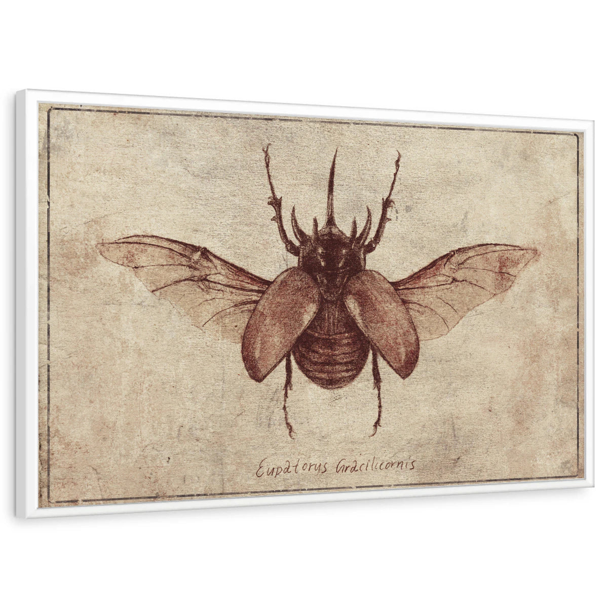 framed-print-white-standard
