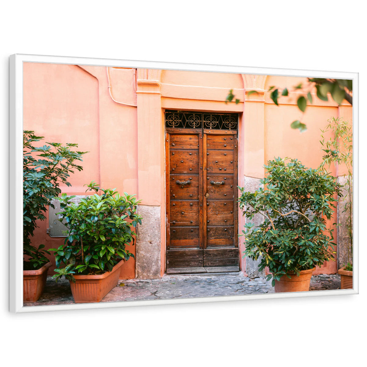 framed-print-white-standard