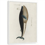 framed-print-white-standard