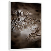framed-print-white-standard