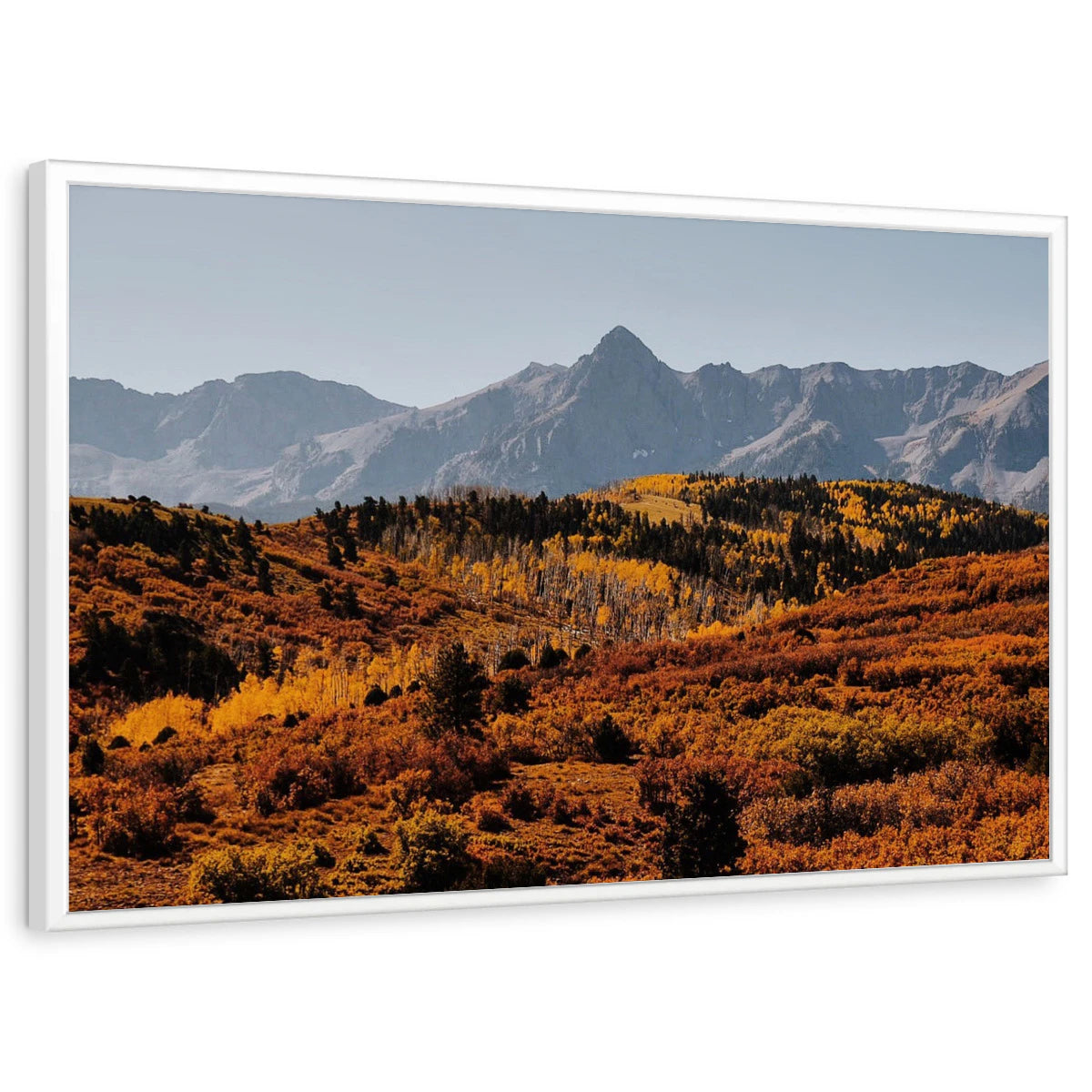 framed-print-white-standard