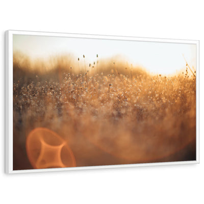 framed-print-white-standard