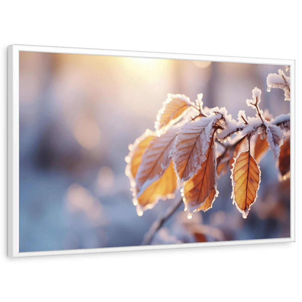 framed-print-white-standard