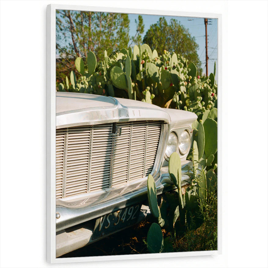 framed-print-white-standard