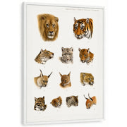 framed-print-white-standard