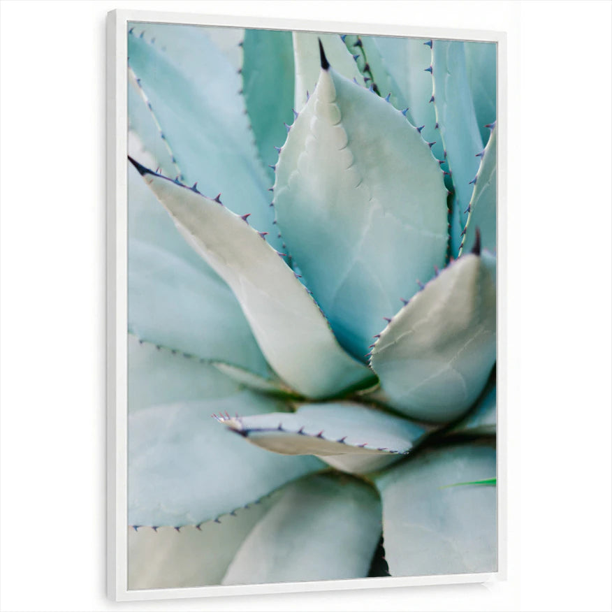 framed-print-white-standard