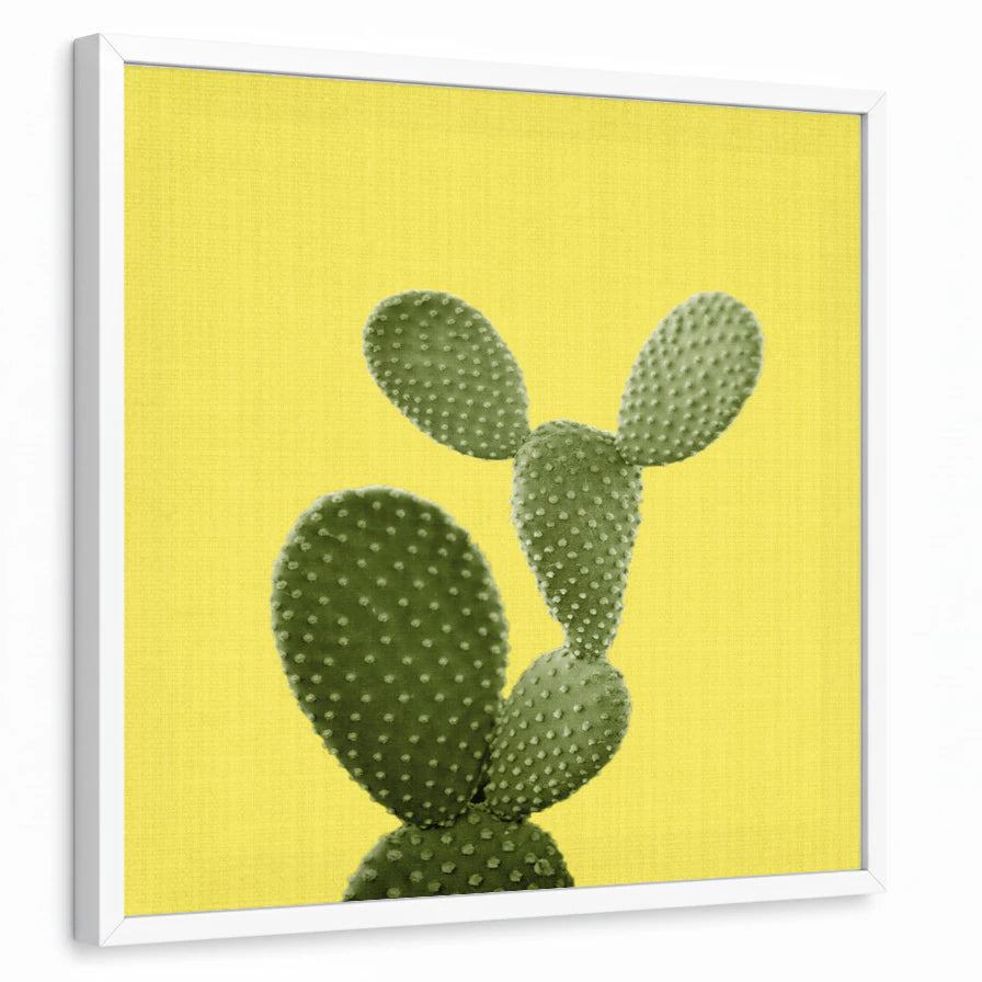 framed-print-white-standard