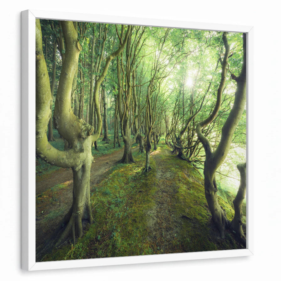 framed-print-white-standard