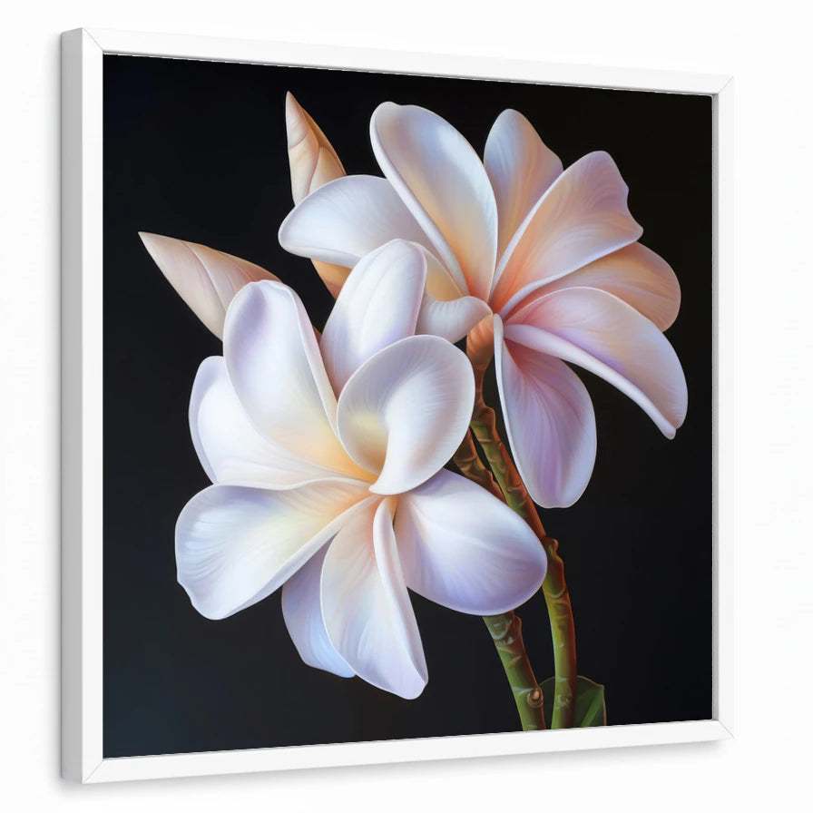 framed-print-white-standard