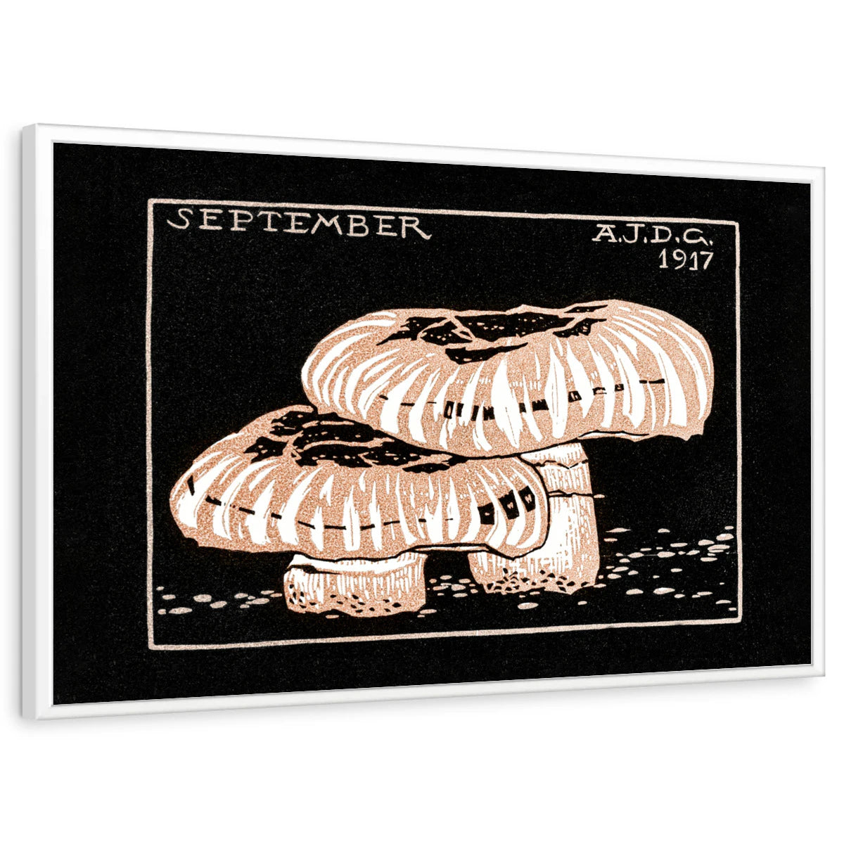 framed-print-white-standard