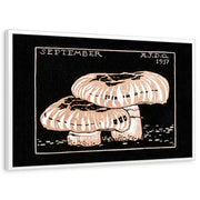 framed-print-white-standard