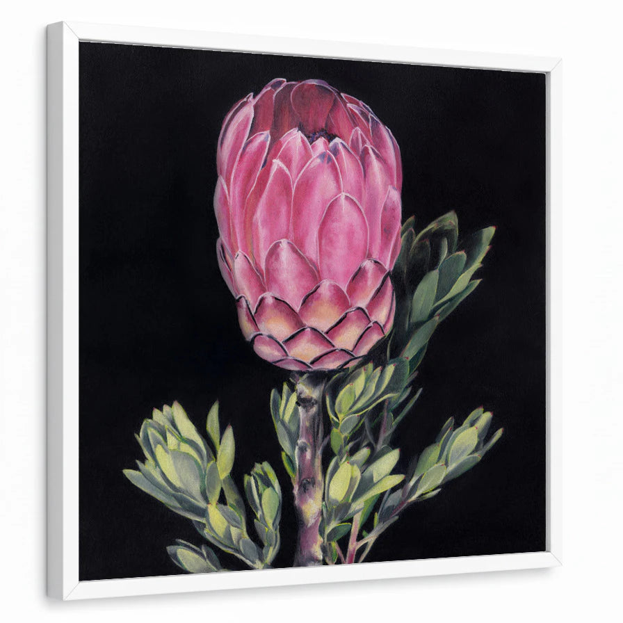 framed-print-white-standard