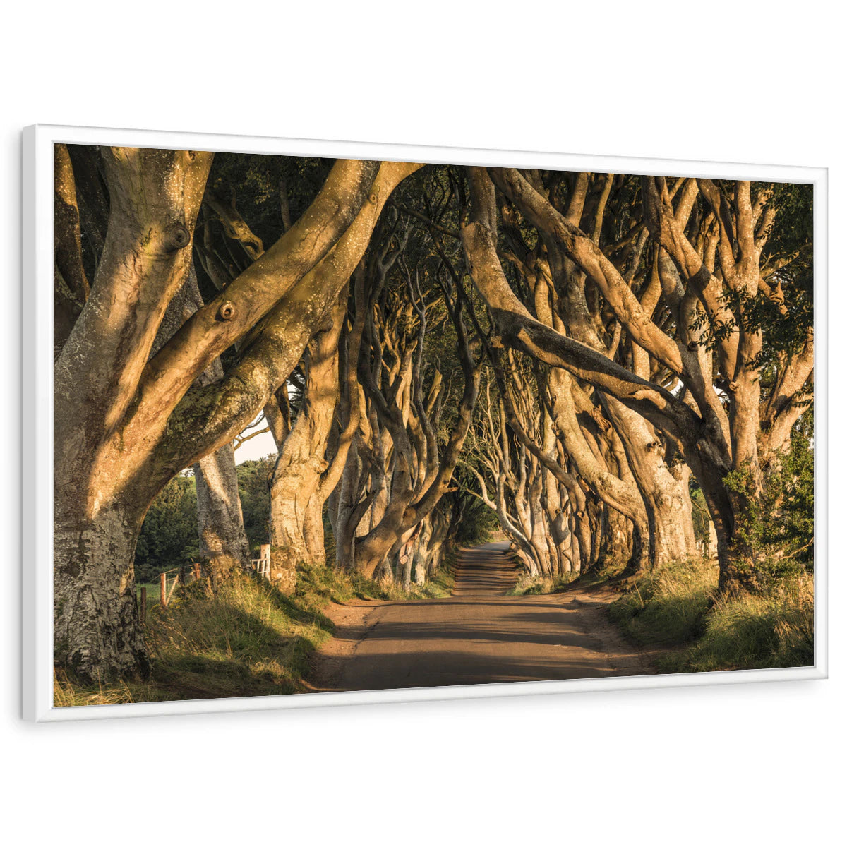 framed-print-white-standard