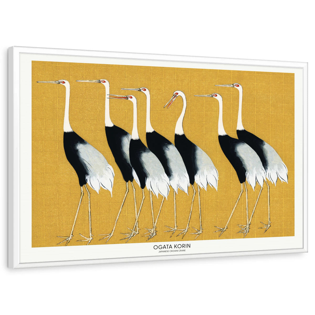 framed-print-white-standard