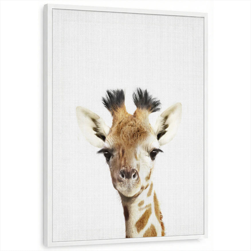 framed-print-white-standard