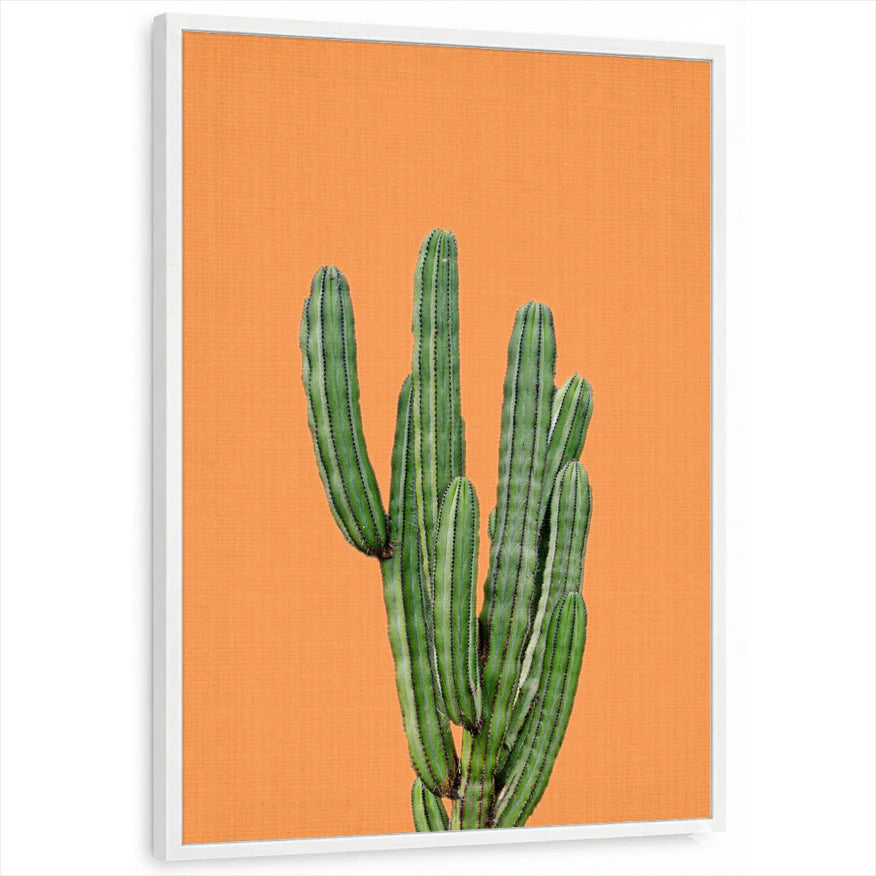 framed-print-white-standard